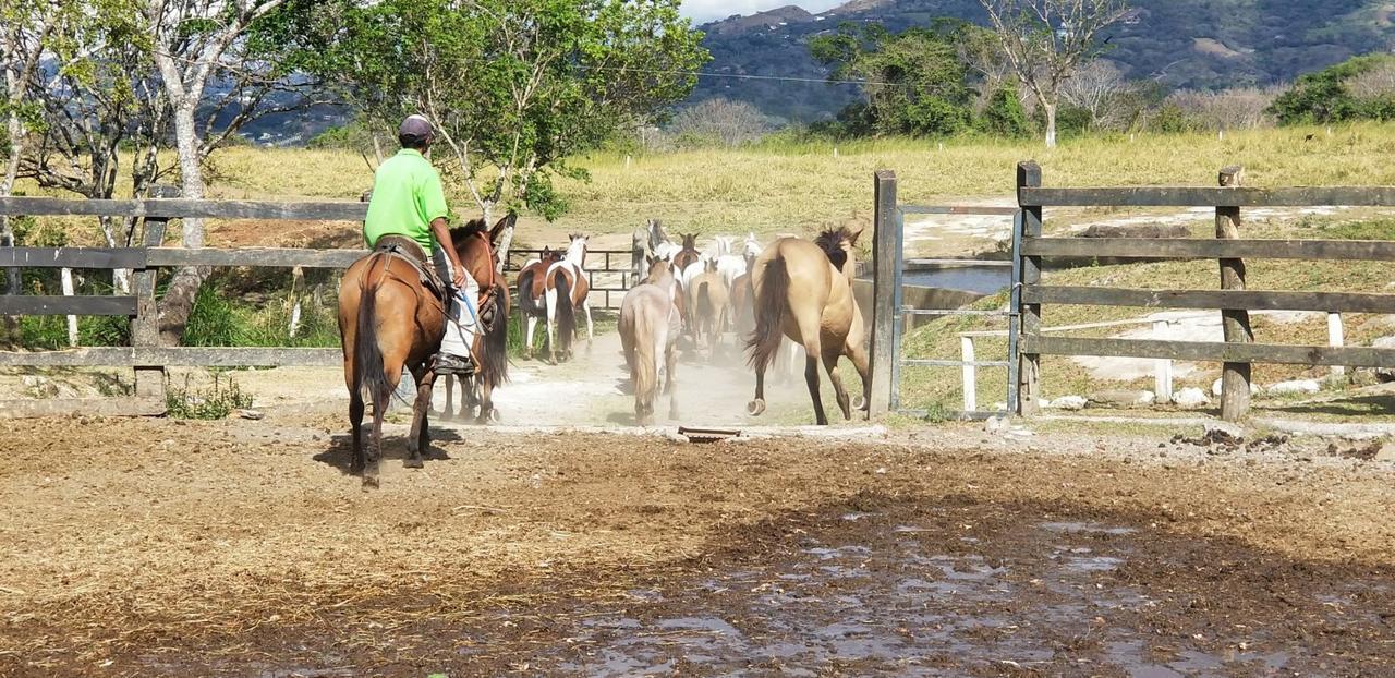 Hotel Hacienda El Rodeo Vueltas エクステリア 写真